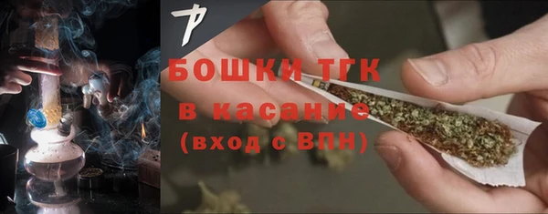 ПСИЛОЦИБИНОВЫЕ ГРИБЫ Карталы