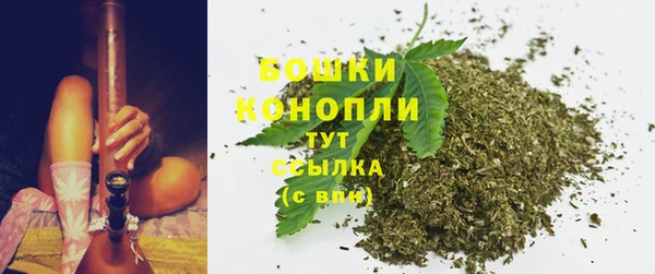 ПСИЛОЦИБИНОВЫЕ ГРИБЫ Карталы