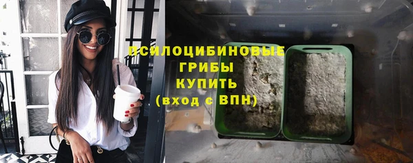 ПСИЛОЦИБИНОВЫЕ ГРИБЫ Карталы